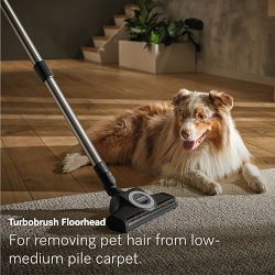 Guard L1 Cat & Dog Black